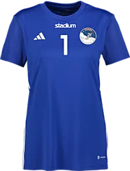 382408104101 ADIDAS Tabela 23 Jsy W 382408104101 ADIDAS Tabela 23 Jsy W Standard Small1x1