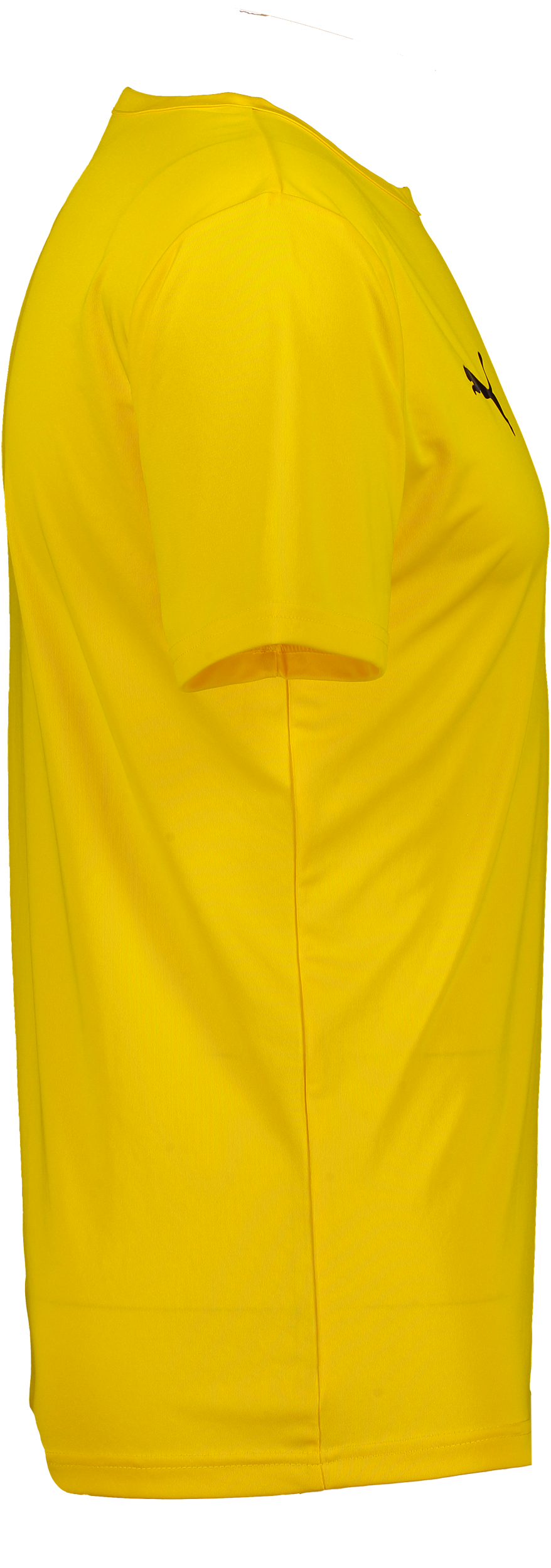 PUMA, T Rise Matchday Jsy Jr