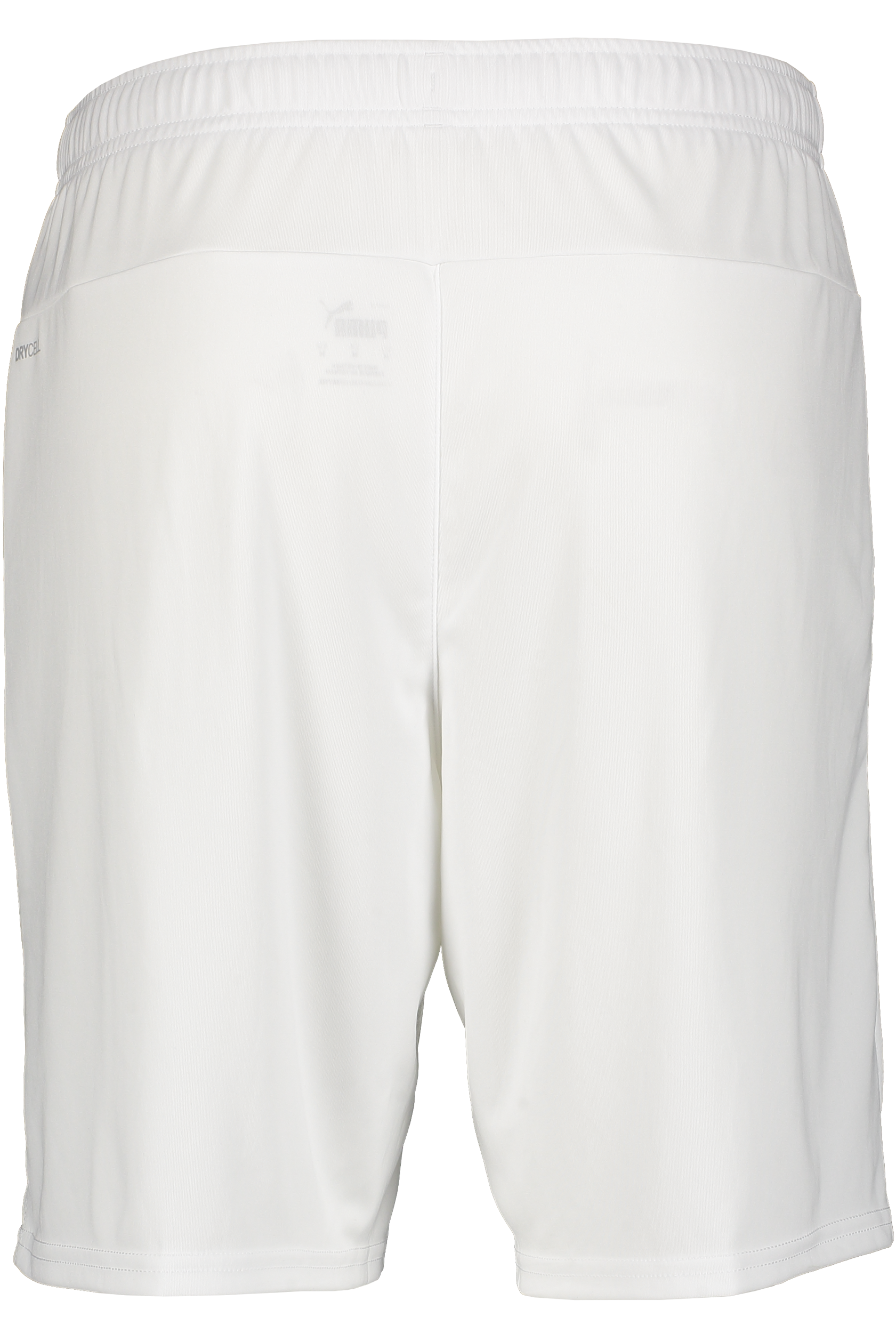PUMA, T Goal Shorts
