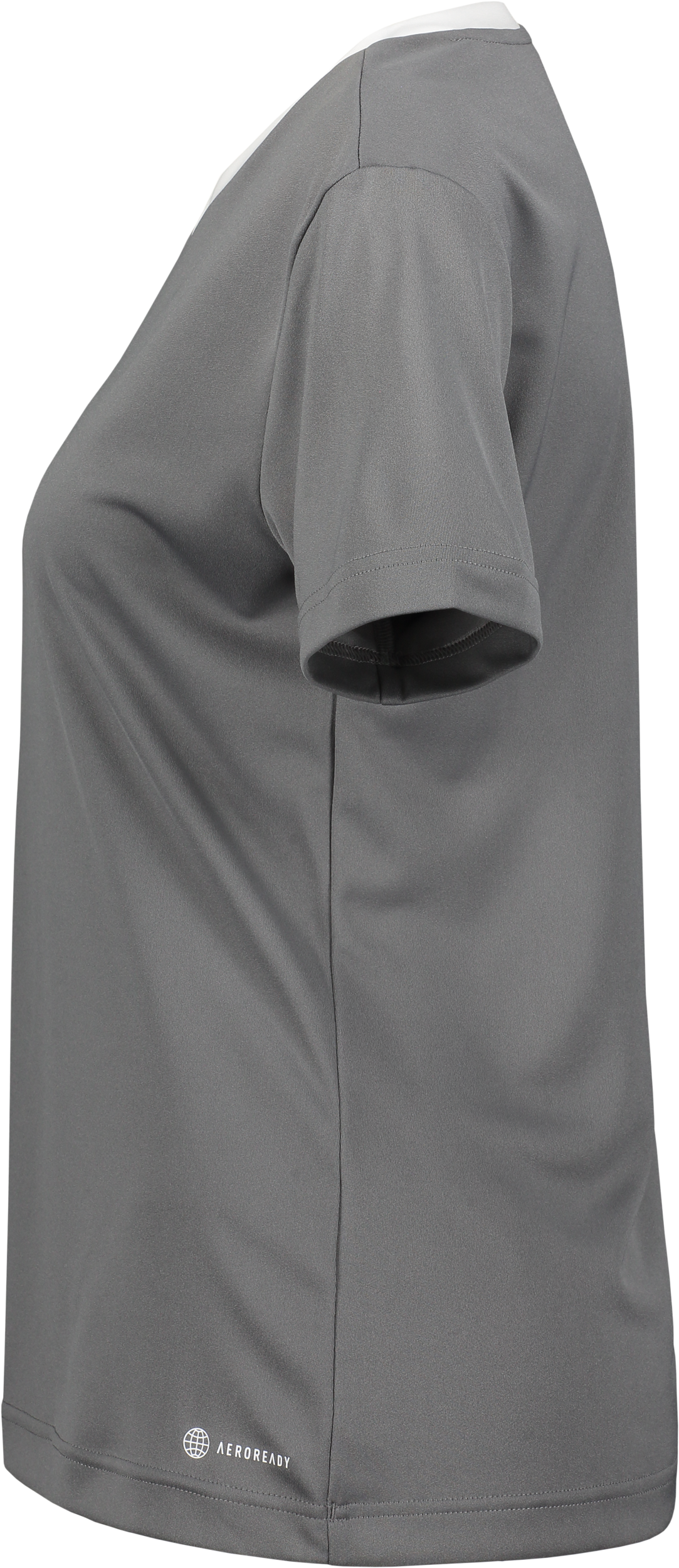 ADIDAS, Ent22 Jsy Tee W