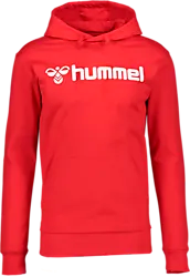 393938103101 HUMMEL Go 2.0 Logo Hoodie Jr 393938103101 HUMMEL Go 2.0 Logo Hoodie Jr Standard Small1x1