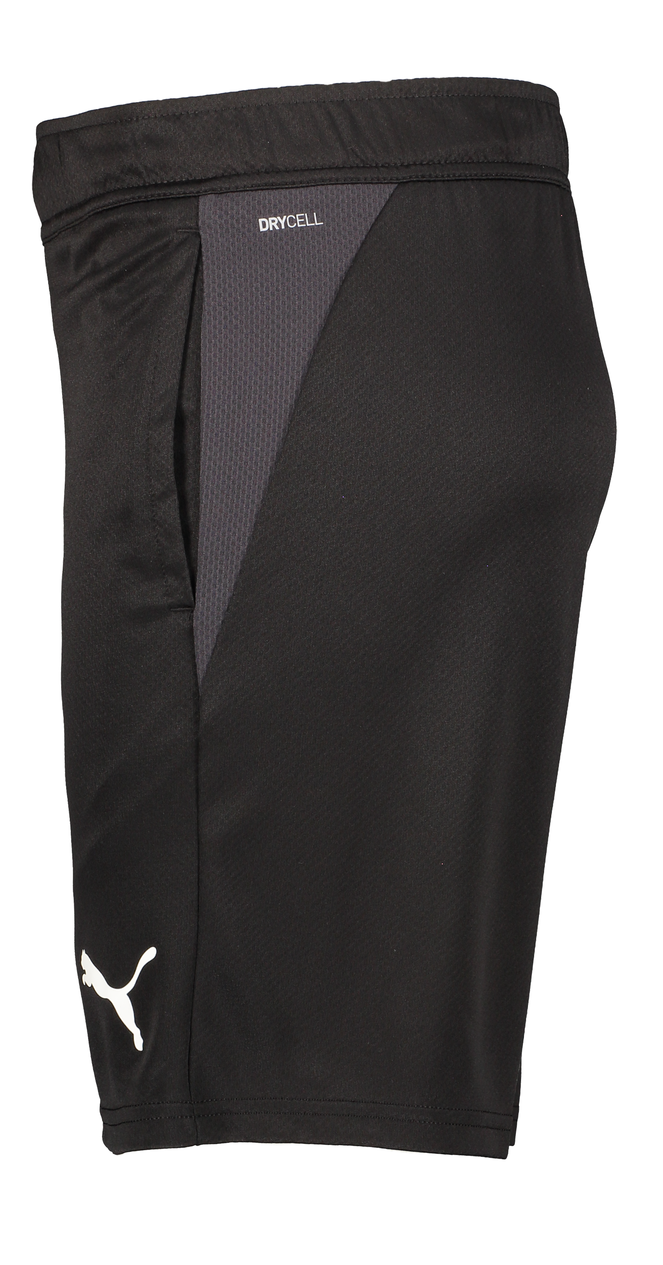 PUMA, T Goal Trg Short