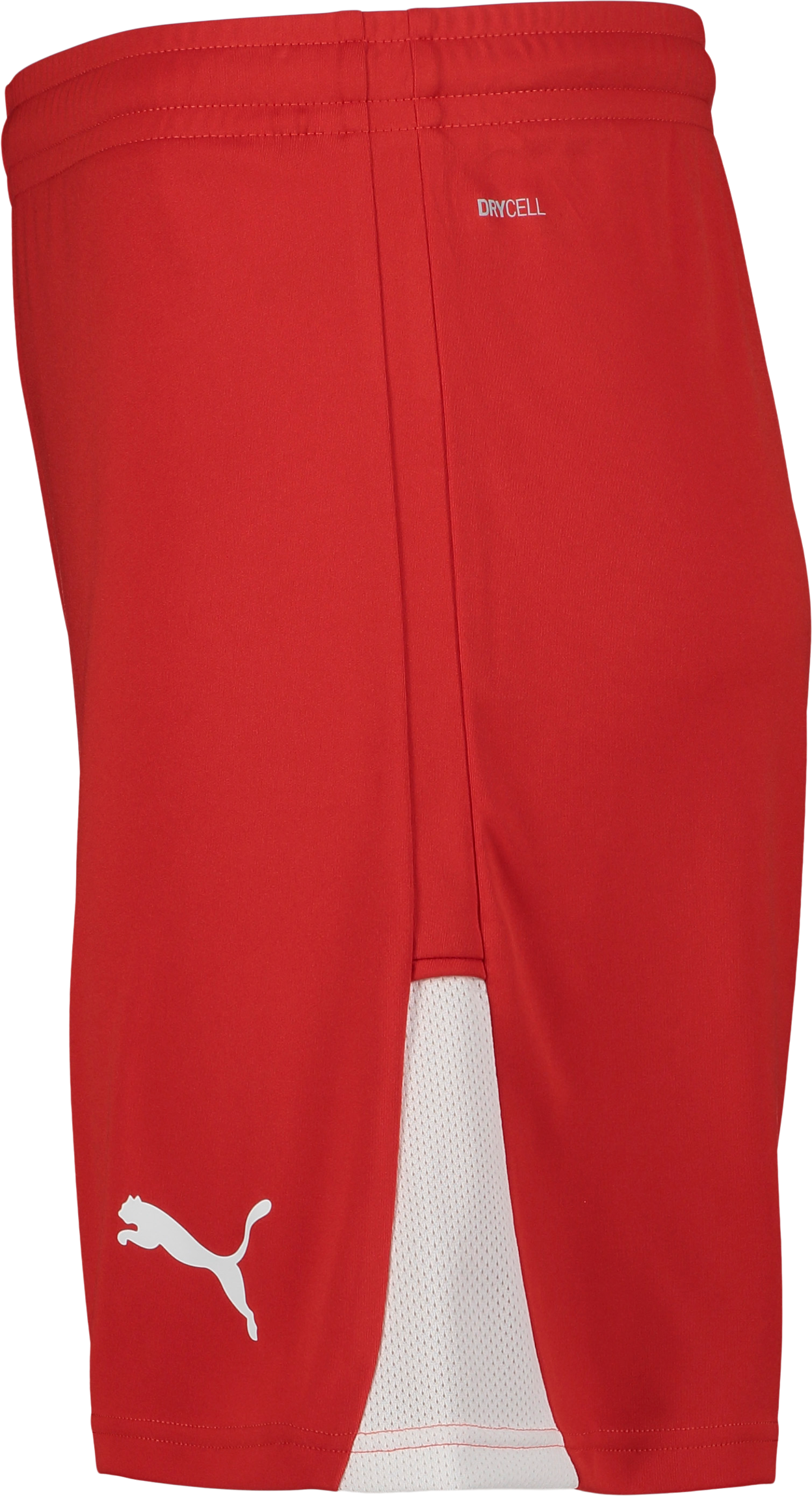 PUMA, TEAMLIGA26 SHORTS