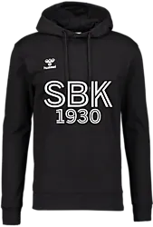 393934101101 HUMMEL Go 2.0 Hoodie 393934101101 HUMMEL Go 2.0 Hoodie Standard Small1x1