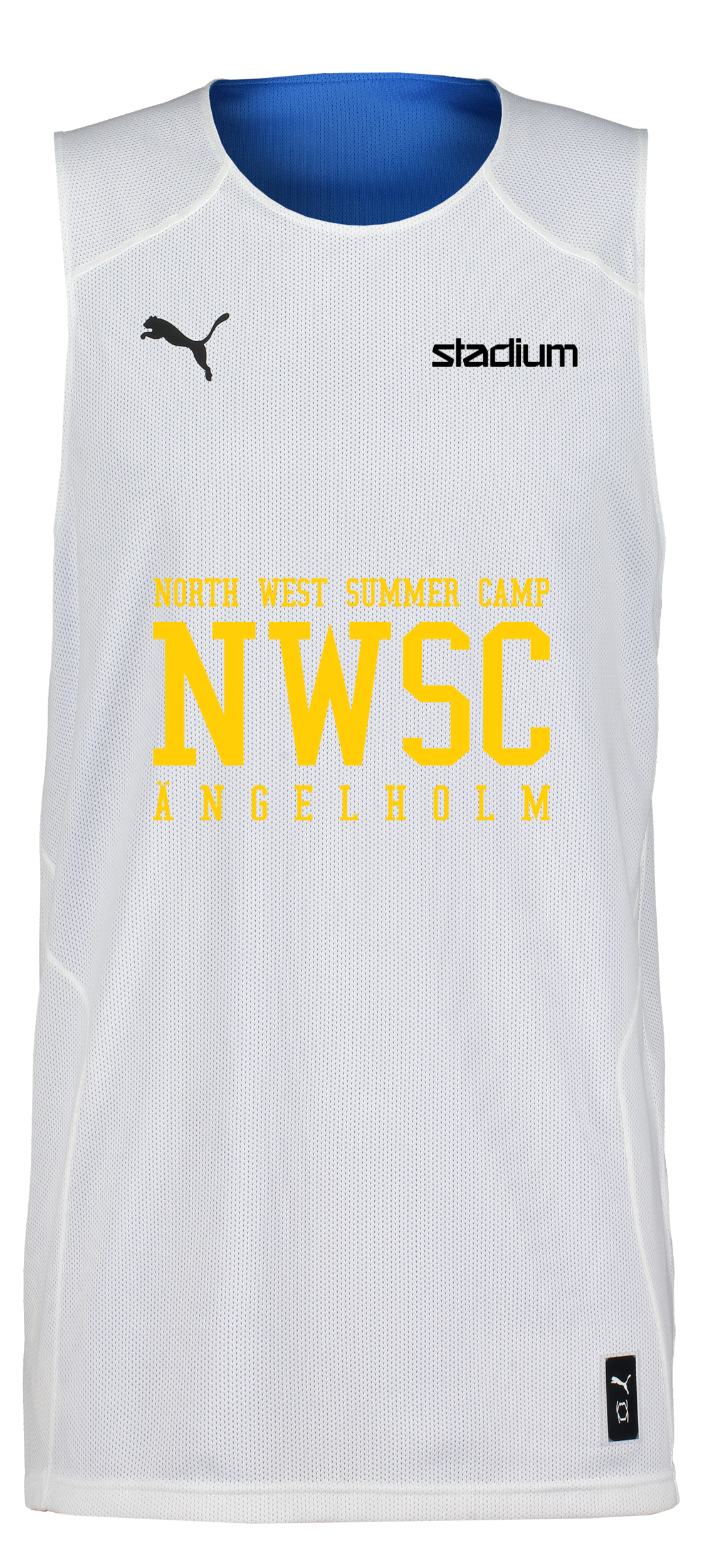 PUMA, Hoops Team Reverse Practice Jersey