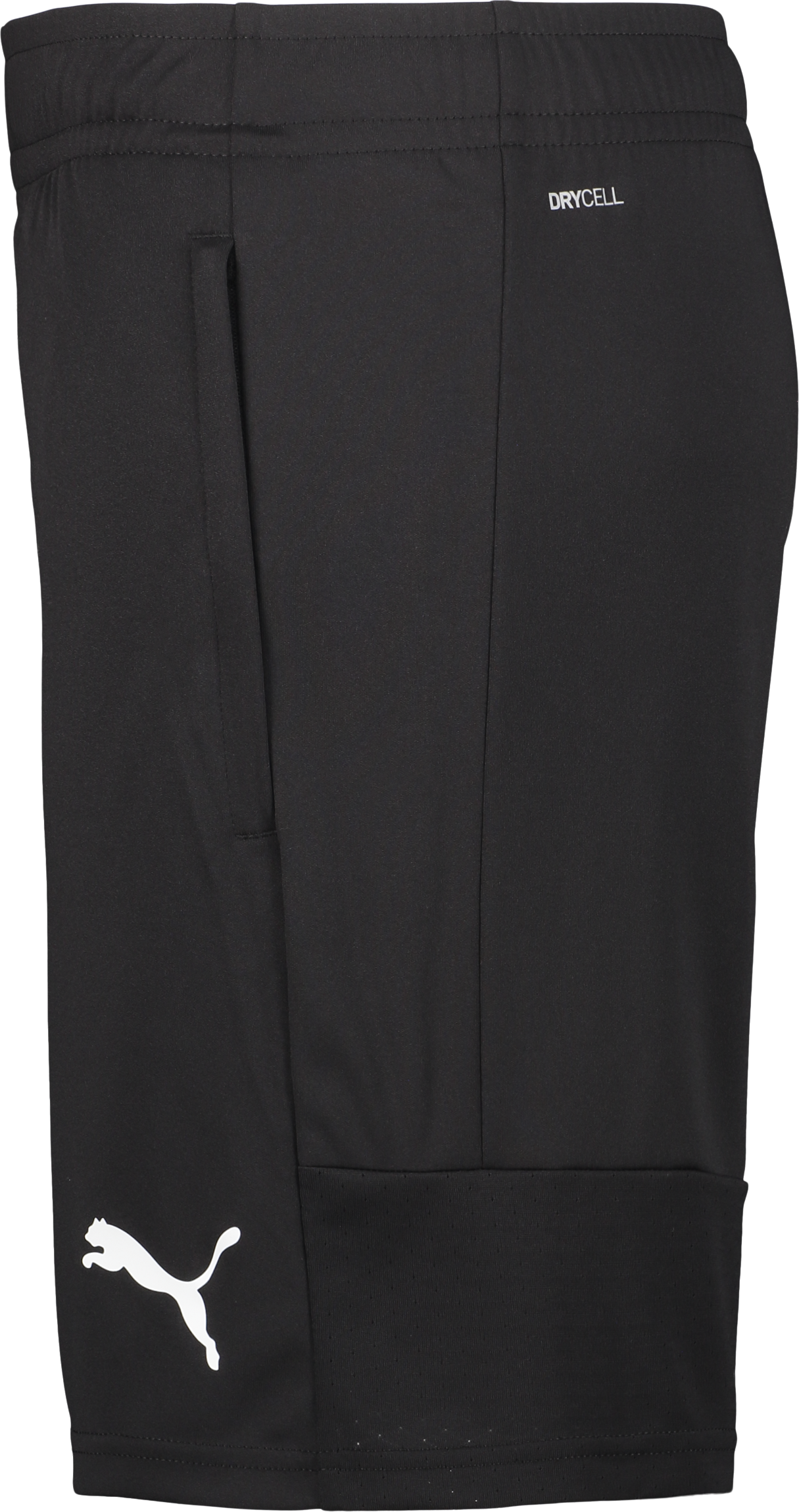 PUMA, TEAMLIGA TRAINING SHORTS
