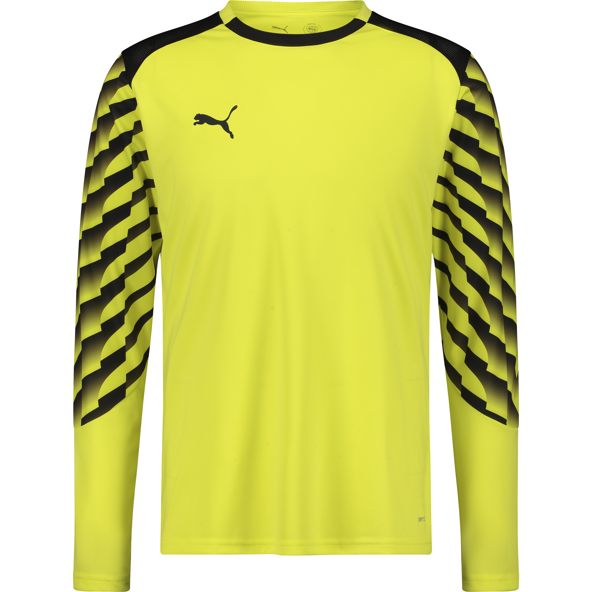 
PUMA, 
TEAMLIGA26 GK JERSEY LS, 
Detail 1
