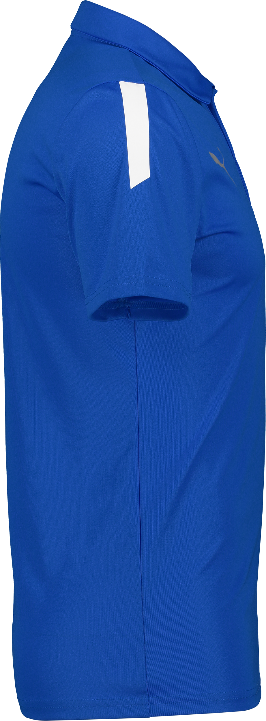 PUMA, T Liga Sideline Polo