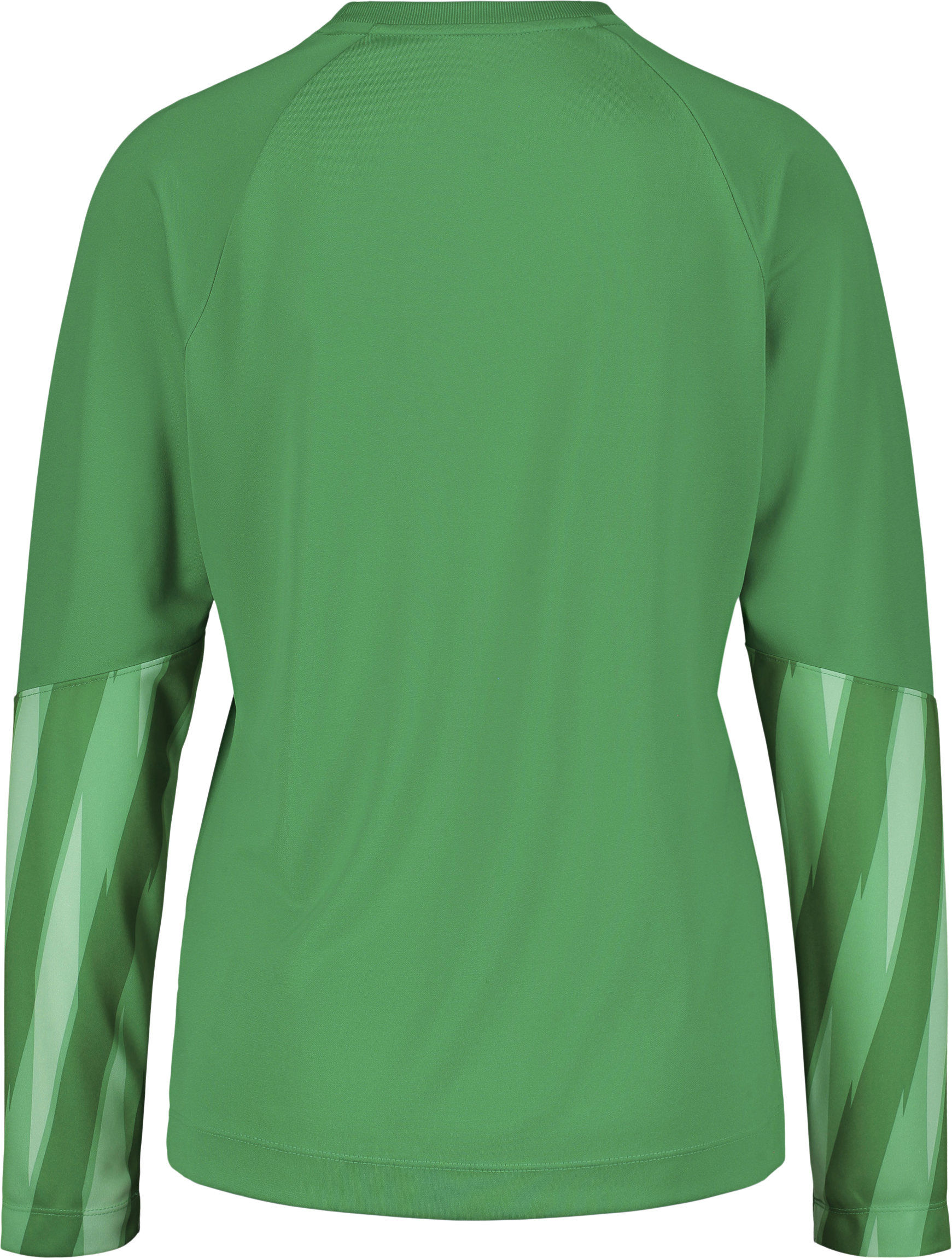 NIKE, PARK V GK LS JSY W