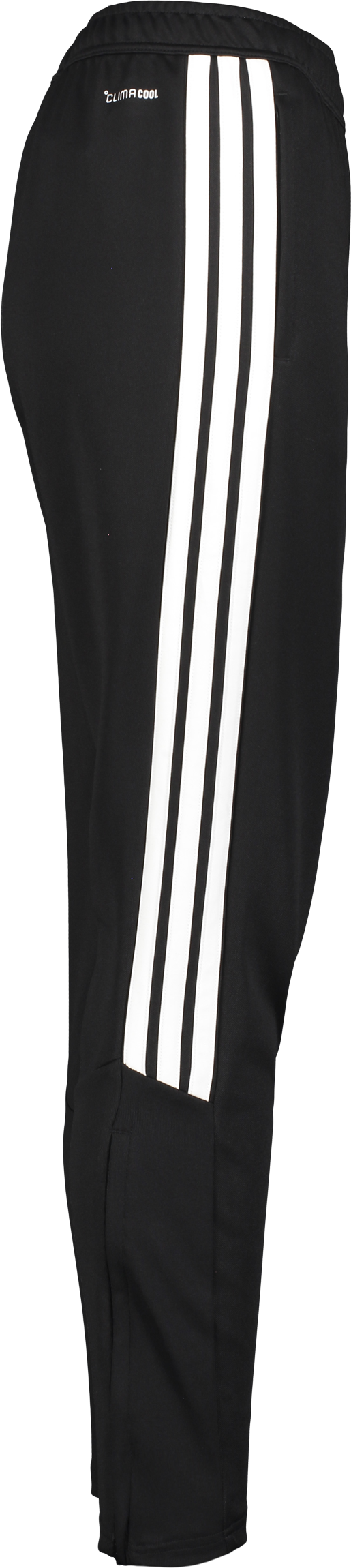 ADIDAS, TIRO26 L PNT W