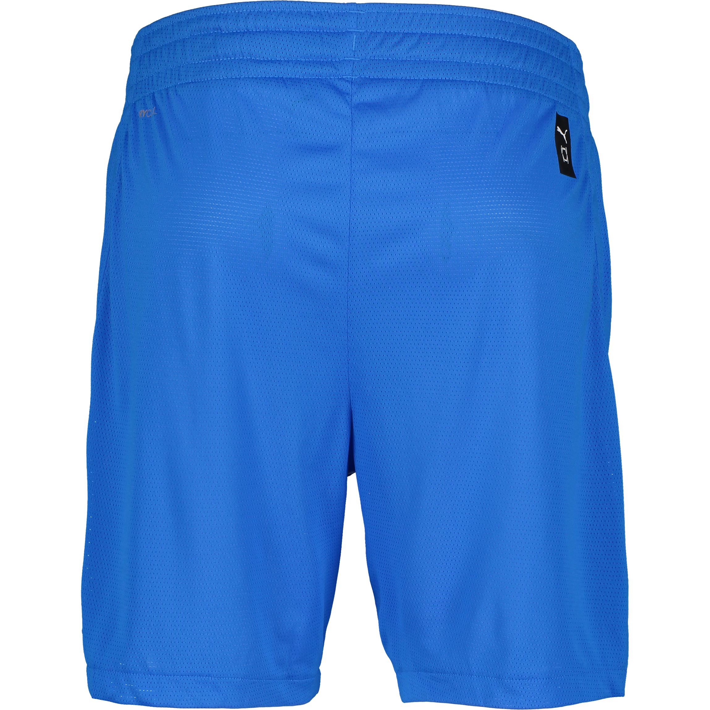 PUMA, TEAMJAWS PRACTICE SHORTS