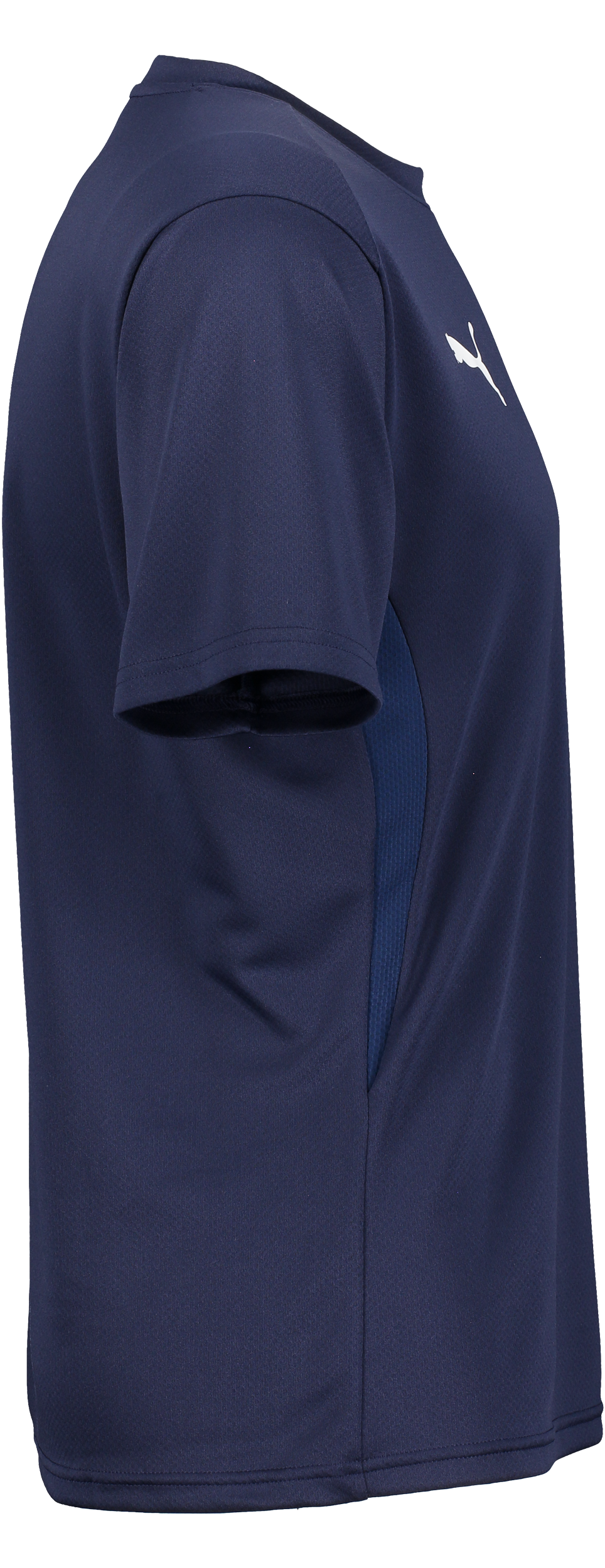 PUMA, T Goal Trg Jsy