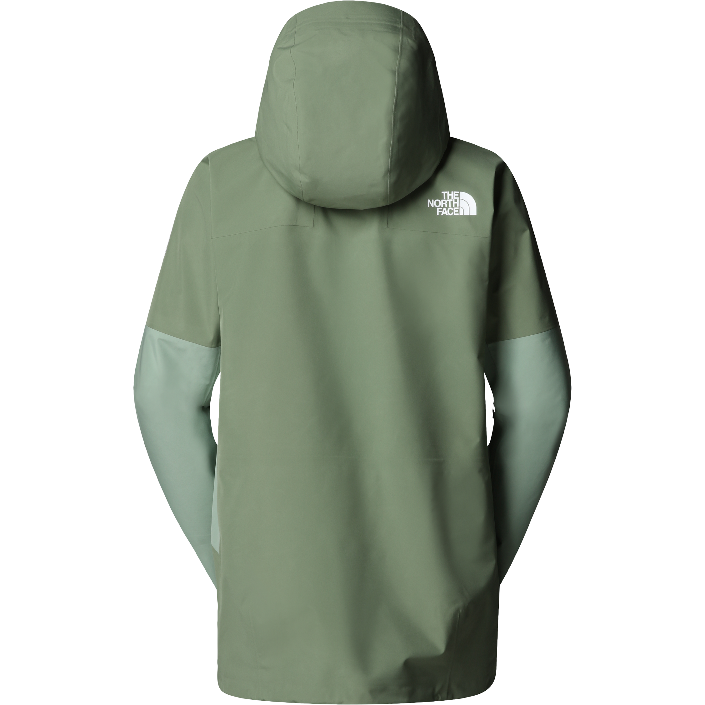 THE NORTH FACE, M Summit Eastwall Gtx Jacket