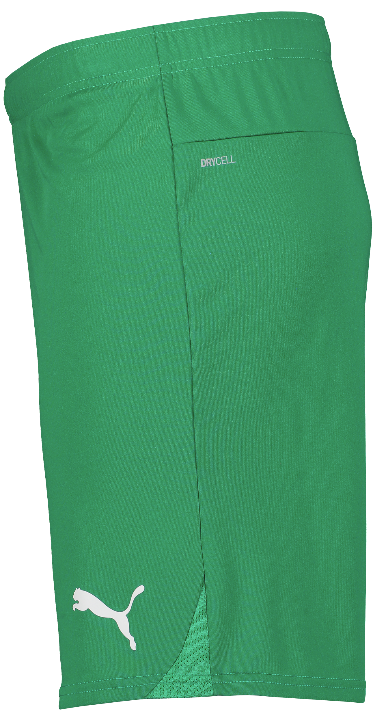 PUMA, T Goal Shorts
