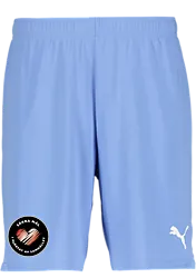 391942109101 PUMA T Goal Shorts 391942109101 PUMA T Goal Shorts Standard Small1x1