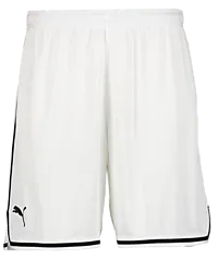 387202102101 PUMA Hoops Team Game Short 387202102101 PUMA Hoops Team Game Short Standard Small1x1