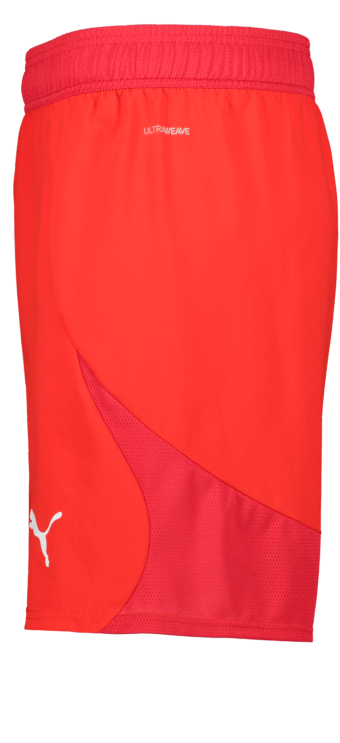 PUMA, T Final Shorts
