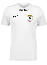299007102101 NIKE Park VII SS Jsy 299007102101 NIKE Park VII SS Jsy Standard Small1x1