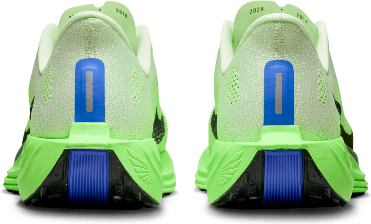 NIKE, M Pegasus Plus