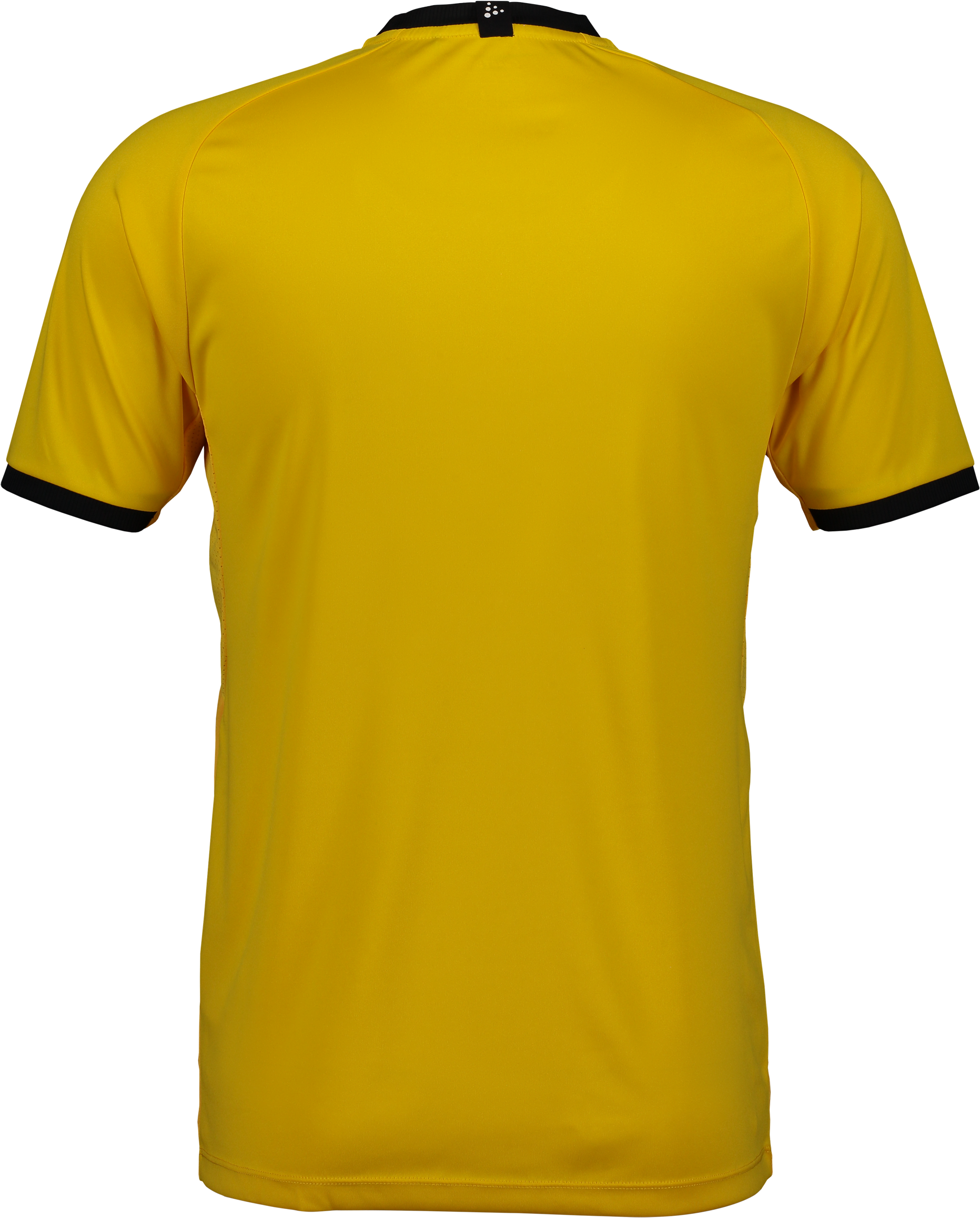 CRAFT, Progress 2.0 Graphic Jersey Jr