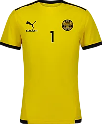 358884107101 PUMA T Liga Ss Jsy 358884107101 PUMA T Liga Ss Jsy Standard Small1x1