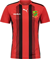 360819101101 PUMA T Liga Striped Jsy 360819101101 PUMA T Liga Striped Jsy Standard Small1x1