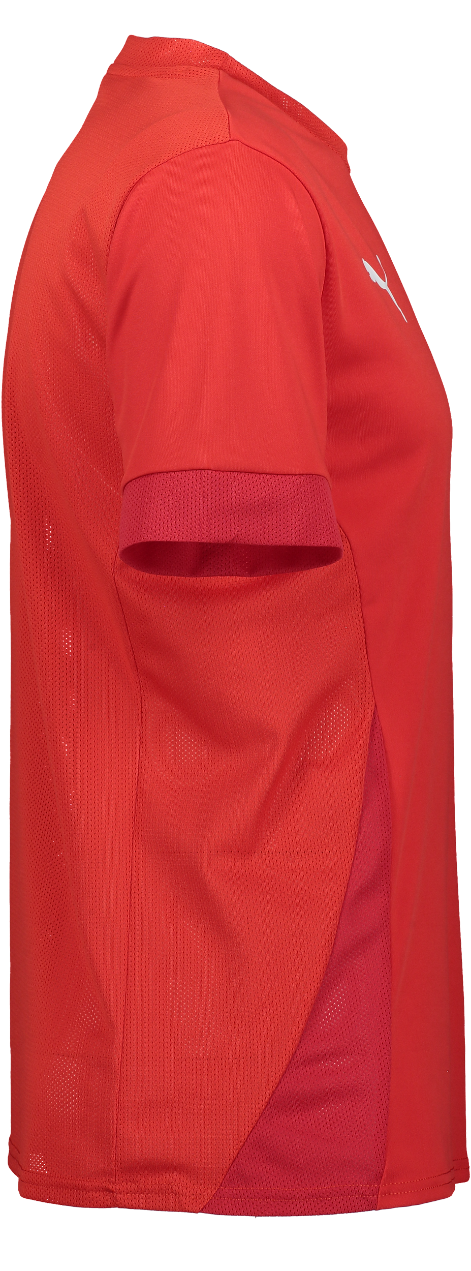 PUMA, T Goal Matchday Jsy Jr