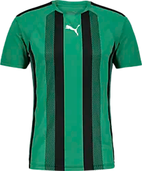 T Liga Striped Jsy Jr - Green/Black Standard Small1x1