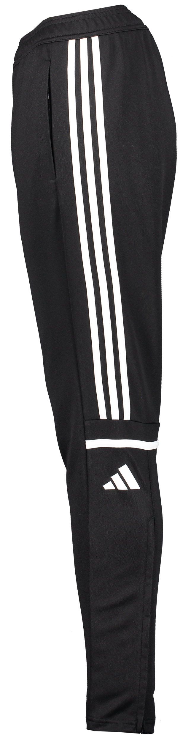 ADIDAS, Squad25 Tr Pnt W