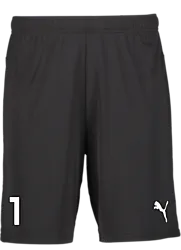 391942103101 PUMA T Goal Shorts 391942103101 PUMA T Goal Shorts Standard Small1x1