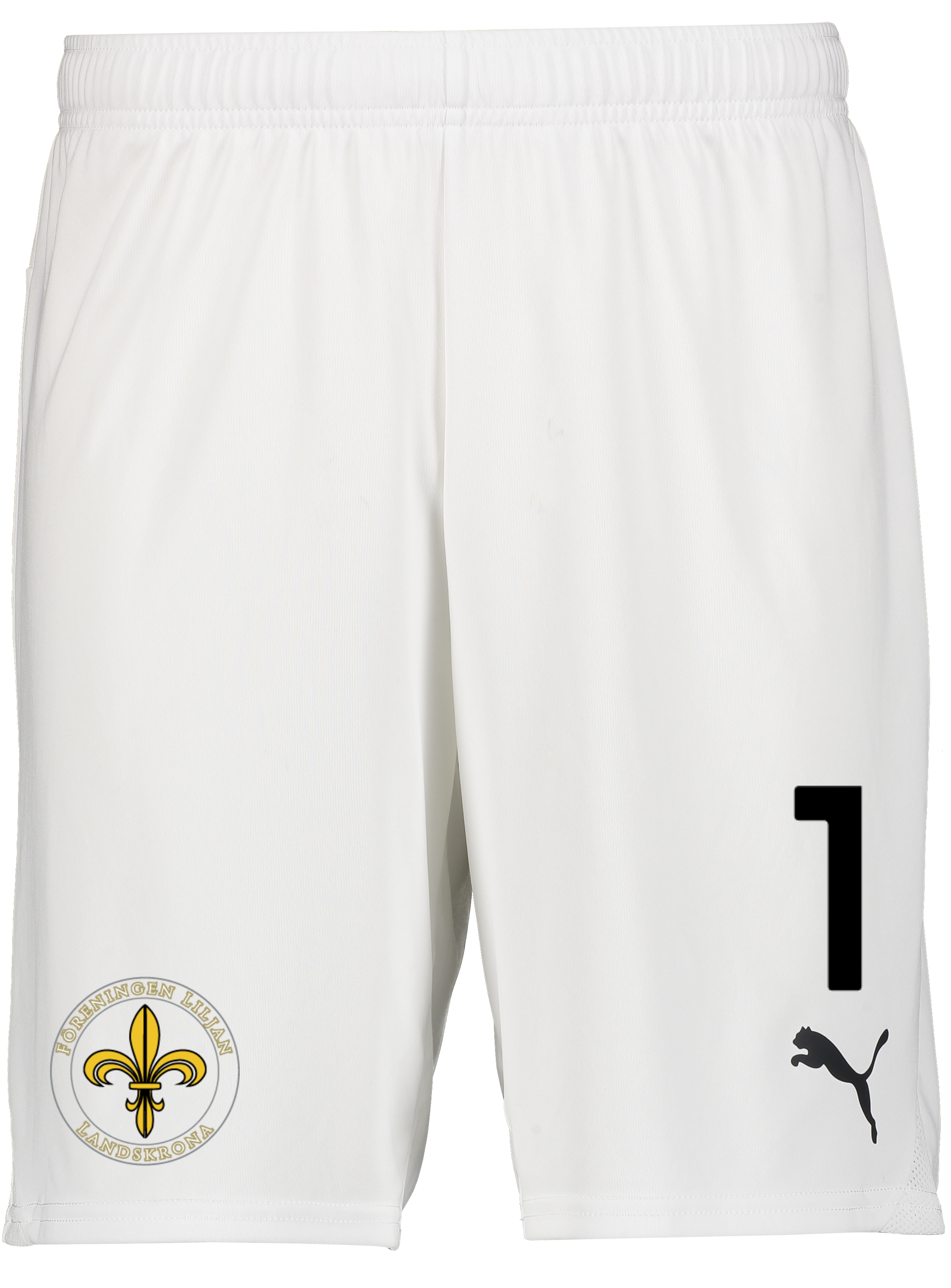 
PUMA, 
T Goal Shorts, 
Detail 1
