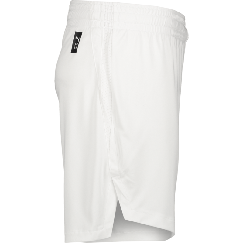 PUMA, TEAMJAWS STARTER SHORTS