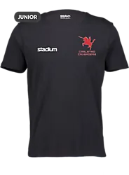 392942102101 STADIUM J Team Core Tee 392942102101 STADIUM J Team Core Tee Standard Small1x1