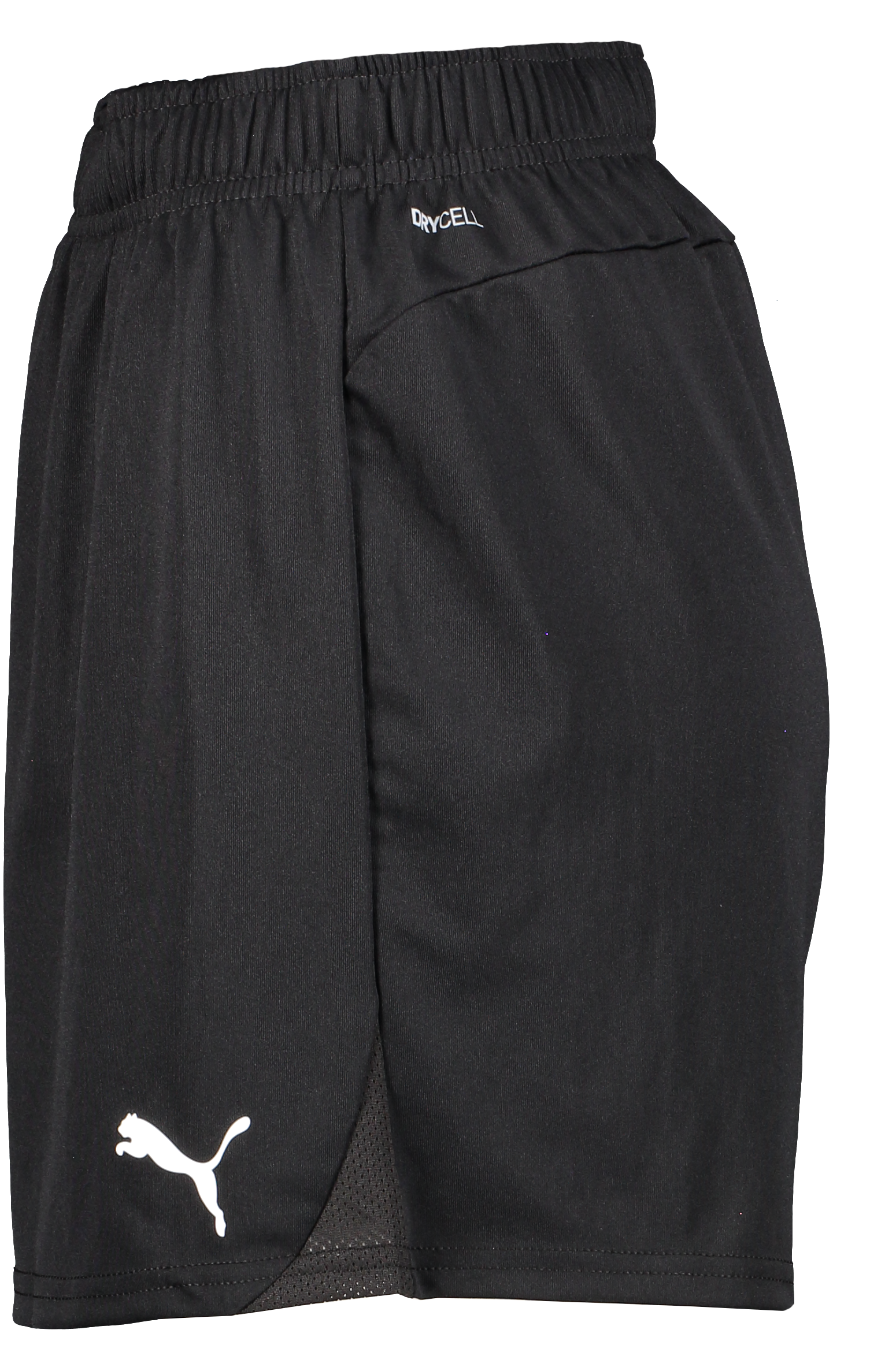 PUMA, T Goal Shorts Wmns