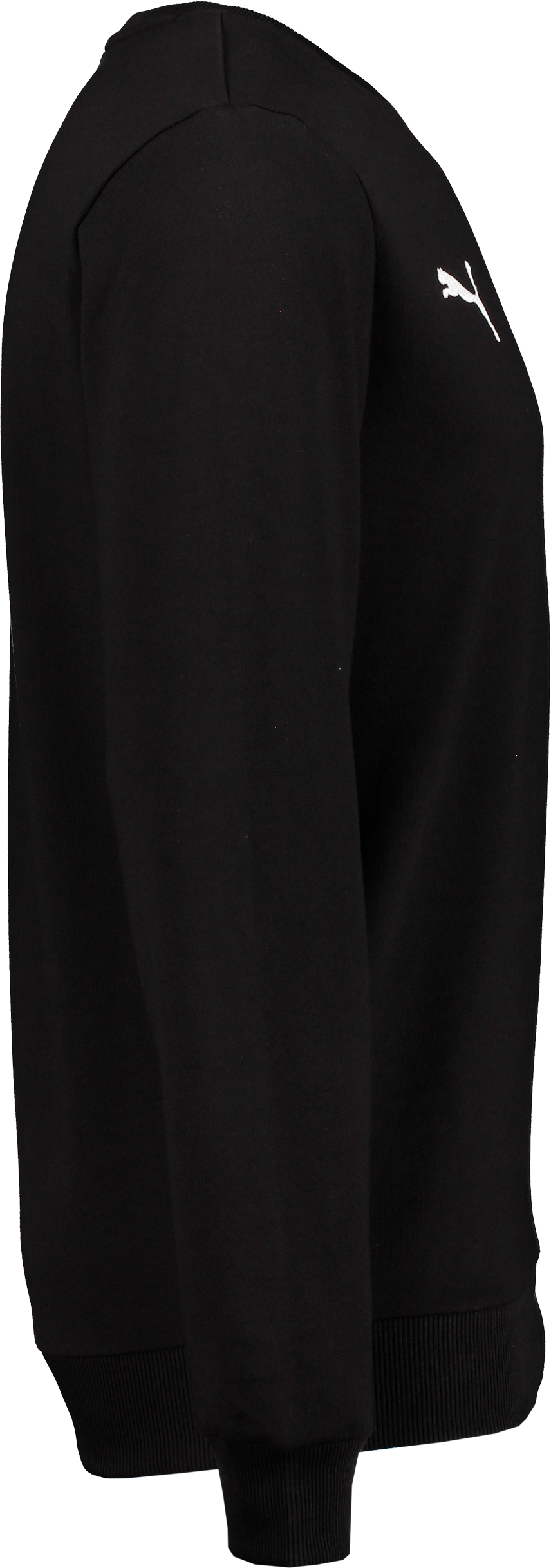 PUMA, T GOAL CAS CREW SWEAT JR