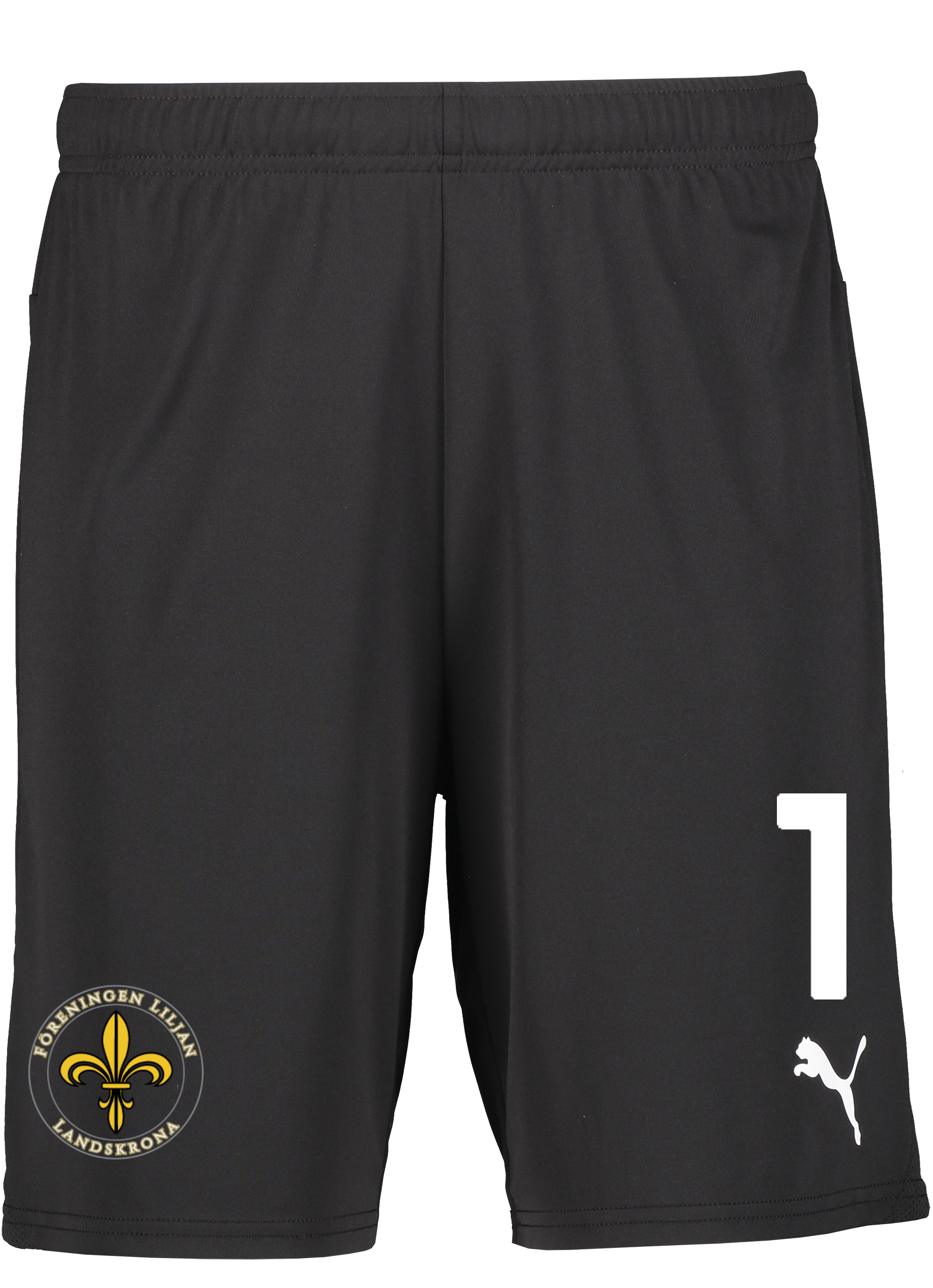 
PUMA, 
T Goal Shorts, 
Detail 1
