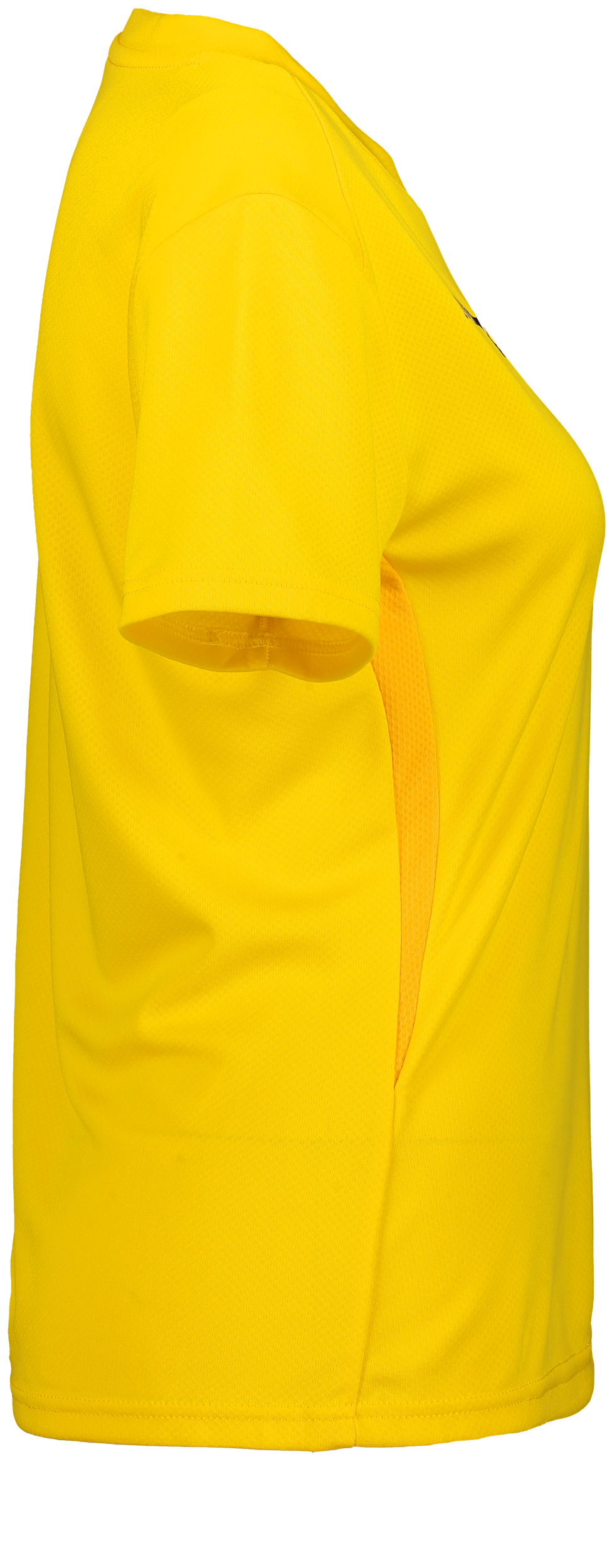 PUMA, T Goal Trg Jsy W