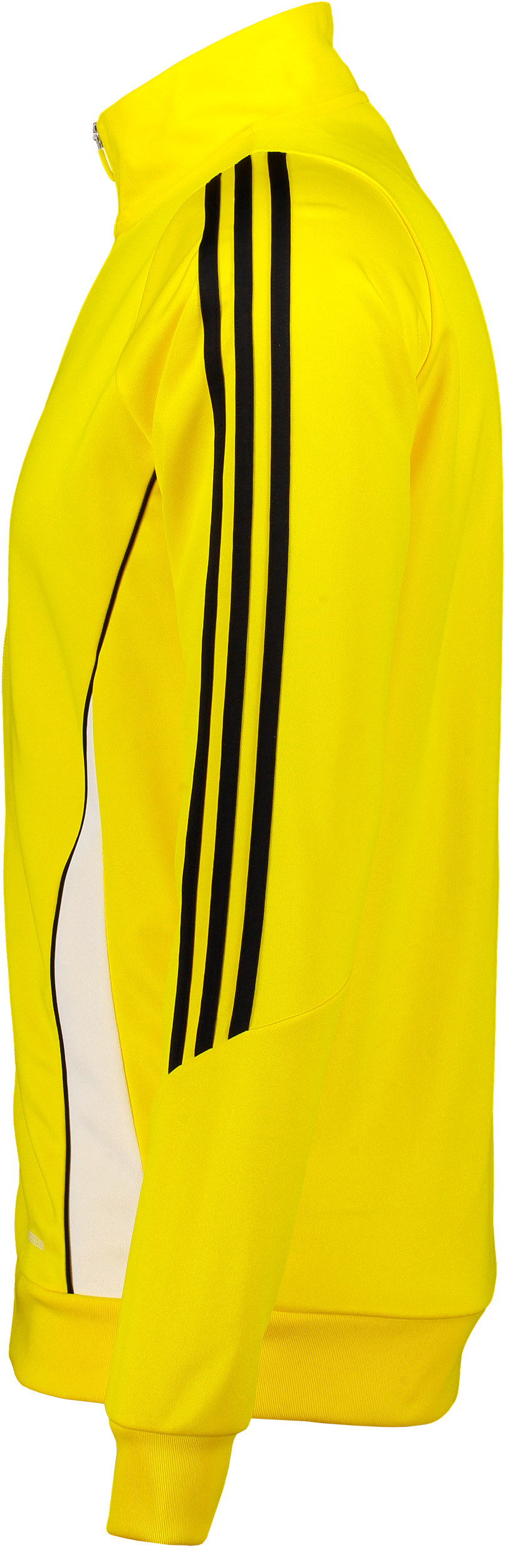 ADIDAS, Tiro24 Tr Jkt