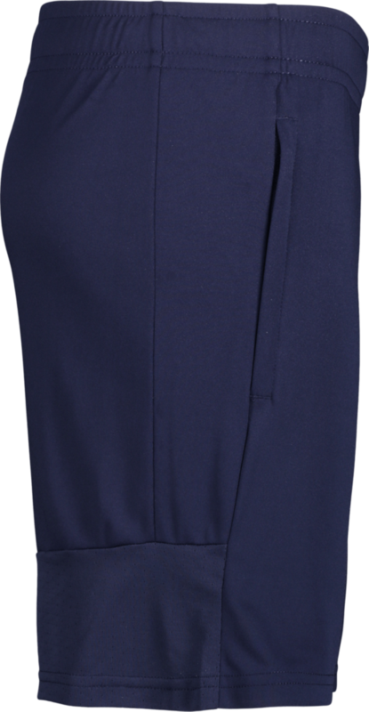 PUMA, TEAMLIGA TRAINING SHORTS