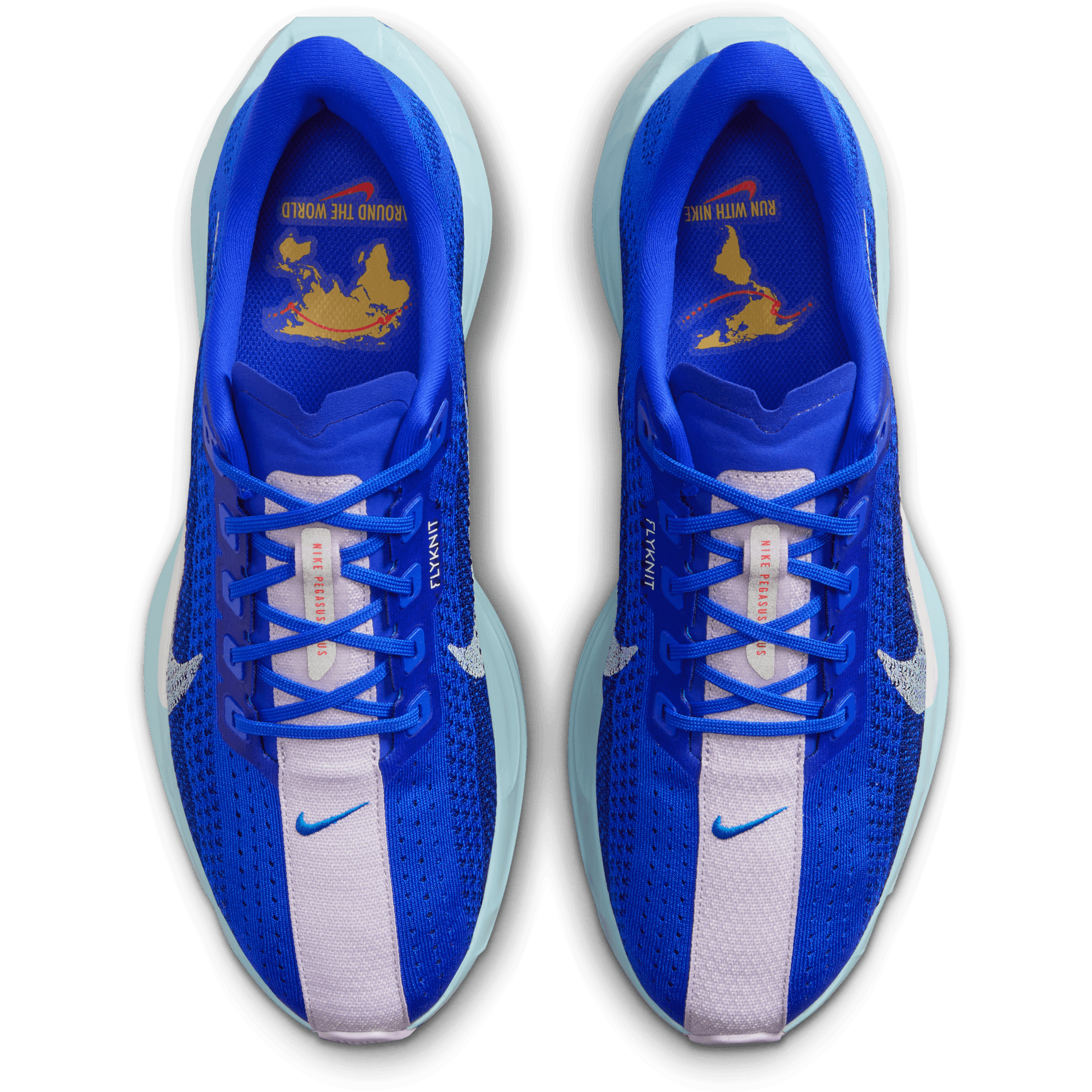 NIKE, M Pegasus Plus Prm