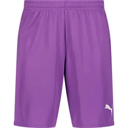 391942113101 PUMA T Goal Shorts 391942113101 PUMA T Goal Shorts Standard Small1x1
