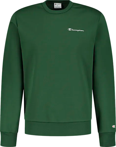 Champion crewneck sweatshirt