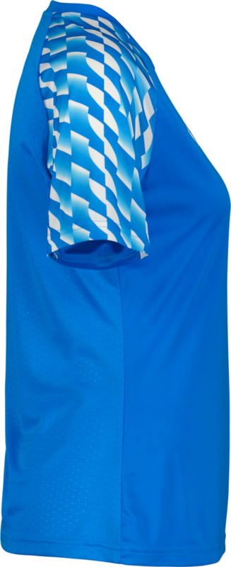 PUMA, TEAMLIGA26 JERSEY W