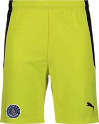 361521107101 PUMA T Liga Shorts Jr 361521107101 PUMA T Liga Shorts Jr Standard Small1x1