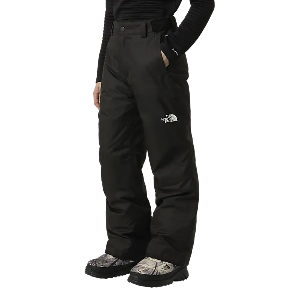THE NORTH FACE Утепленные брюки J Freedom