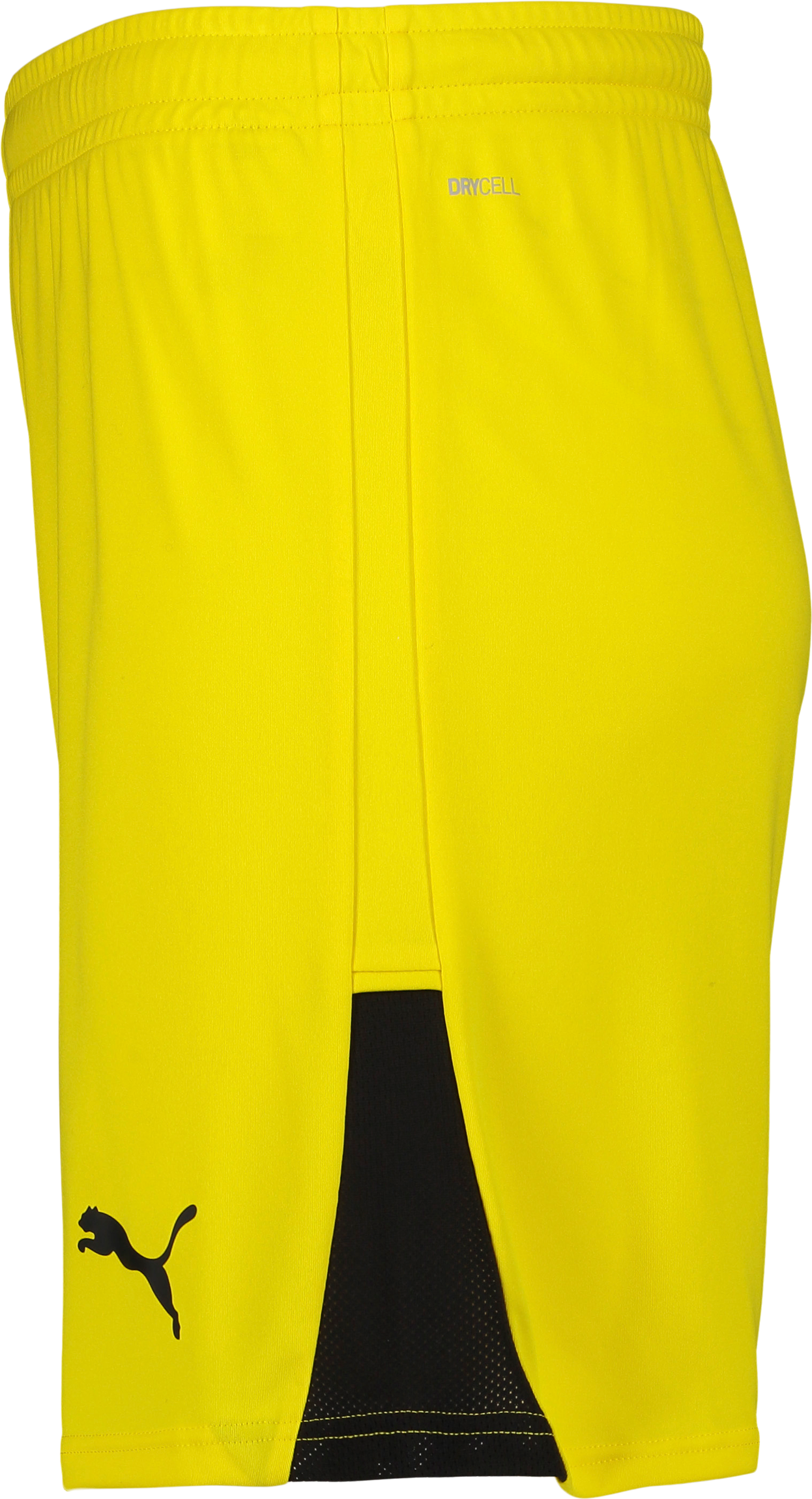 PUMA, TEAMLIGA26 SHORTS JR