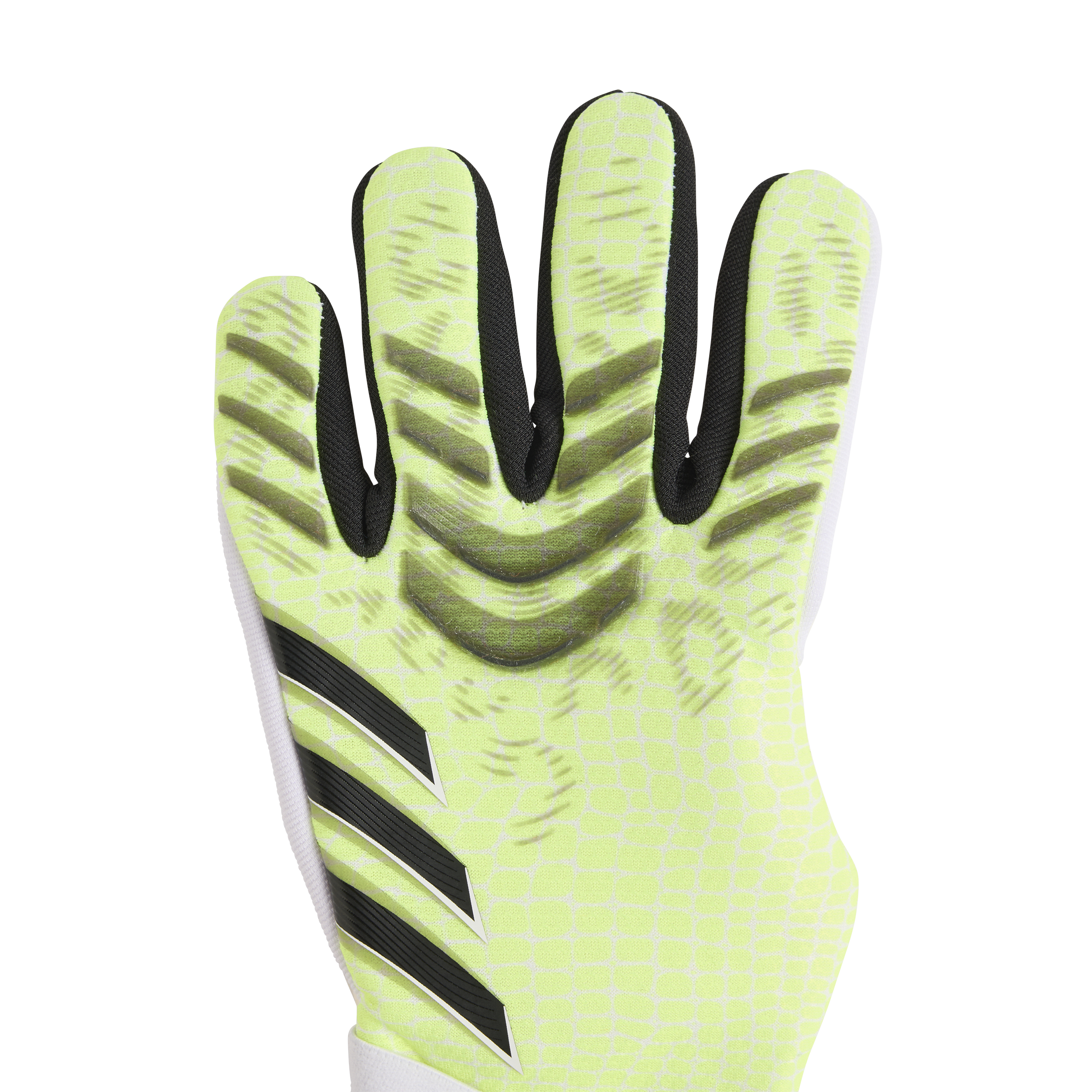 ADIDAS, Pred Gl Pro J