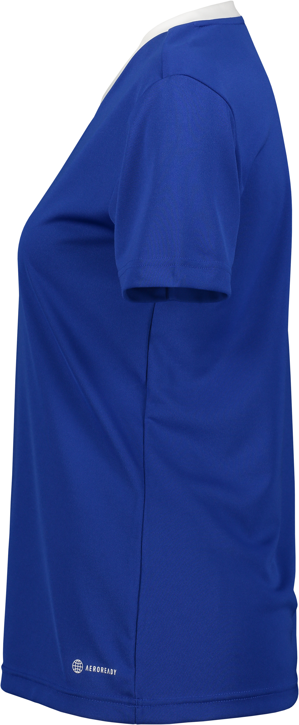 ADIDAS, Ent22 Jsy Tee W