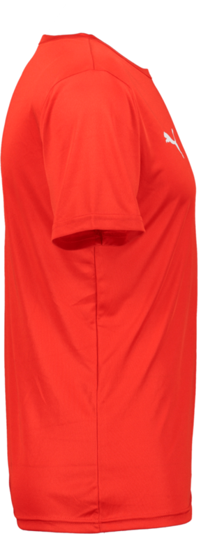 PUMA, T Rise Matchday Jsy Jr
