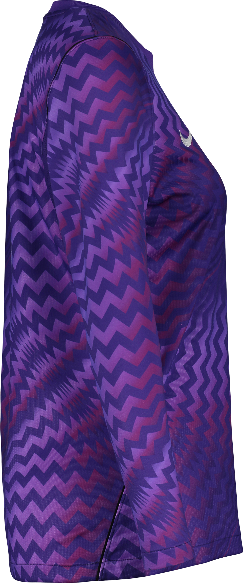 NIKE, GARDIEN VI GK LS JSY W